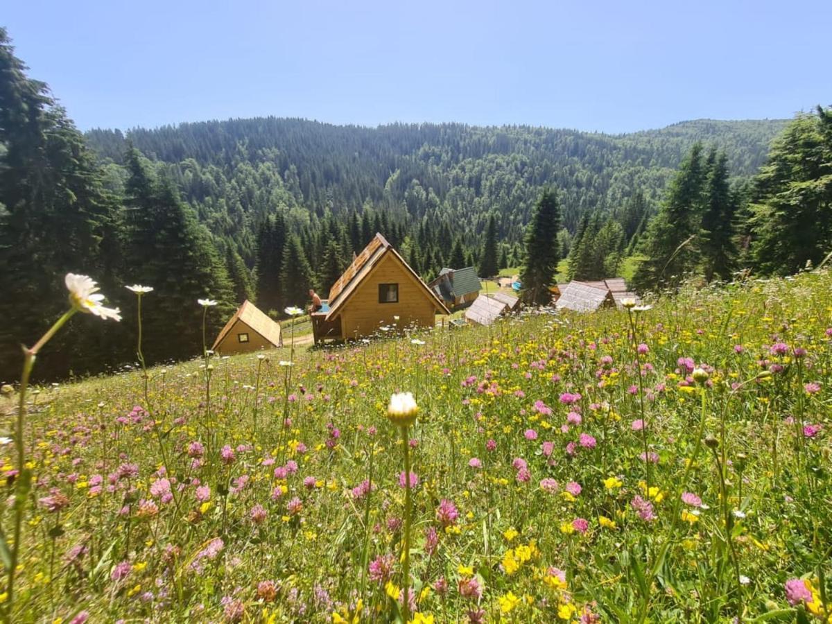 Eko Katun Bungalows Jelovica Berane Exteriör bild